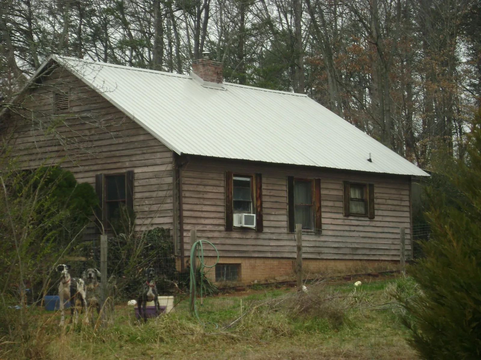 White metal roof on an old wood sided farmhouse, from a Asphalt Shingle Roof Repair job in Shirley